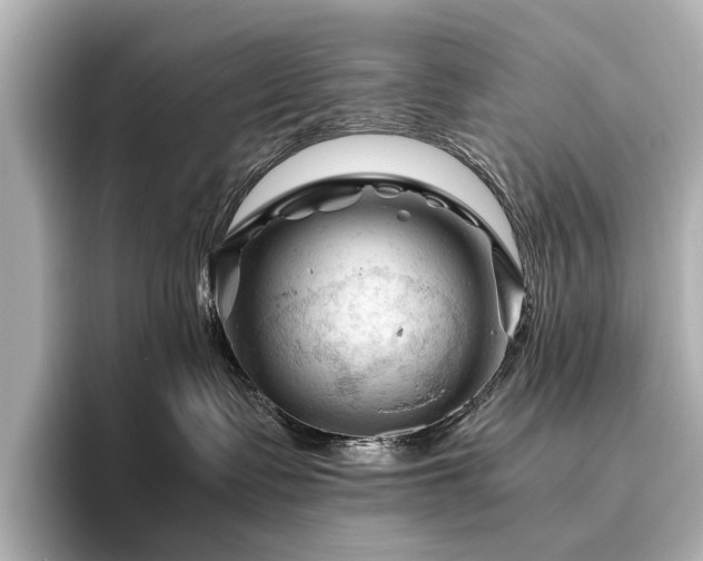 X0000096440335200801241403