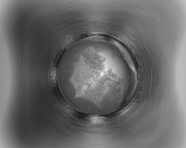 X0000096440336200801241403