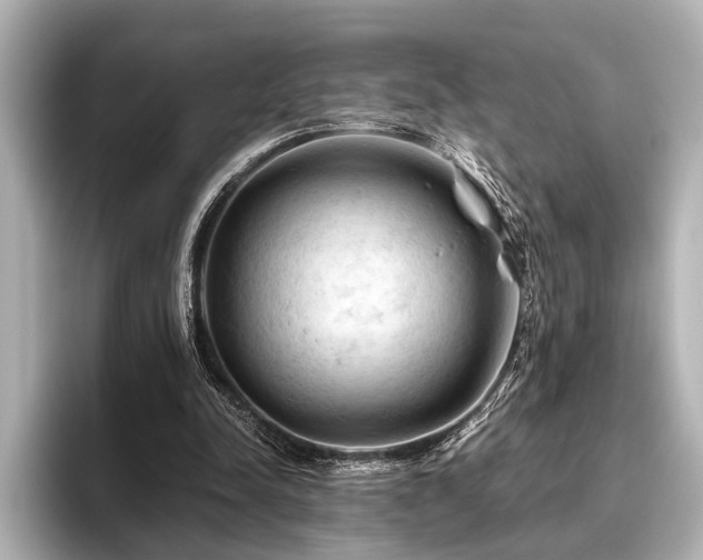 X0000096440342200801241403