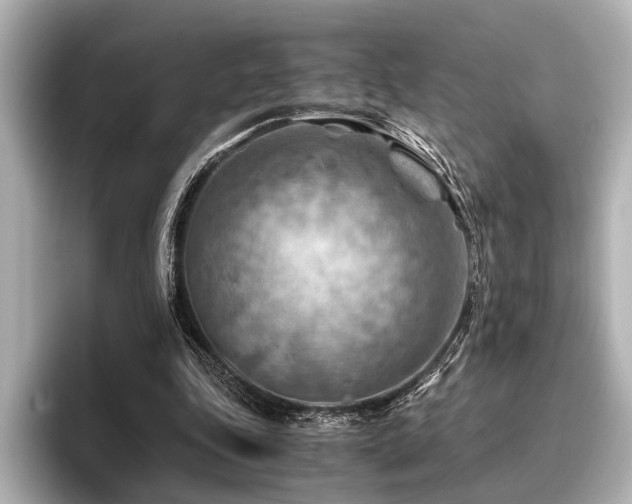 X0000096440343200801241403