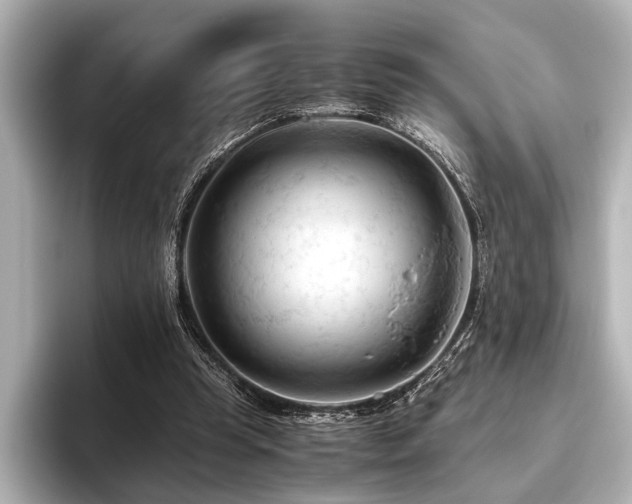 X0000096440345200801241403