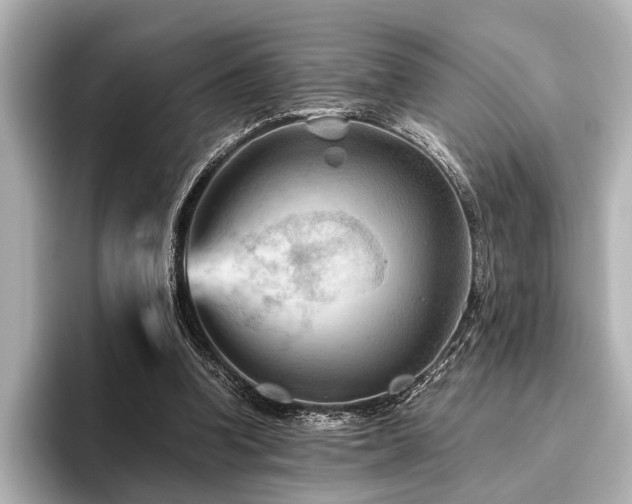 X0000096440346200801241403