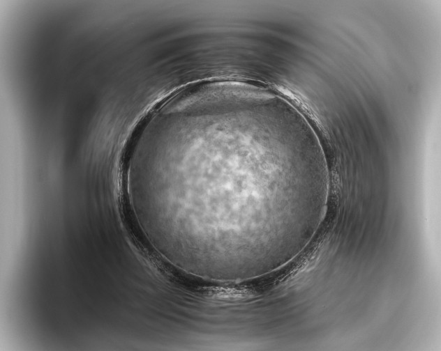 X0000096440347200801241403