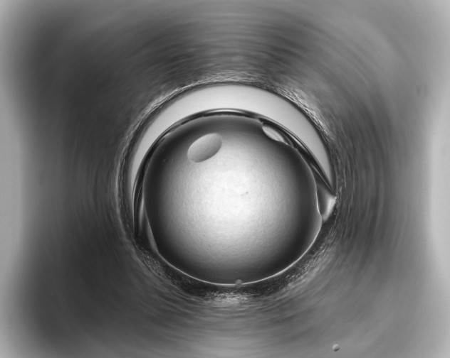 X0000096440348200801241403