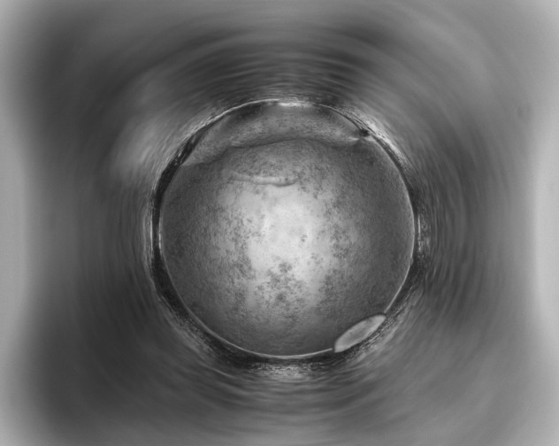 X0000096440349200801241403
