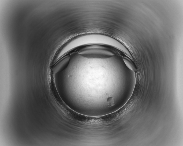X0000096440350200801241403