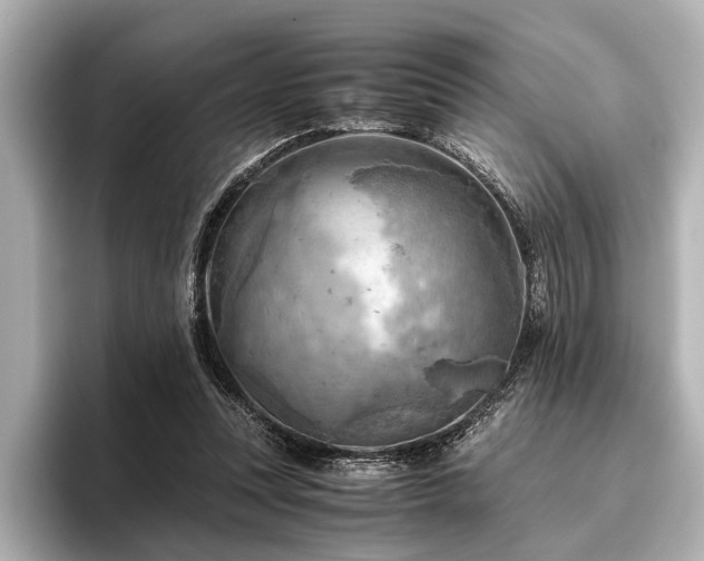 X0000096440351200801241403