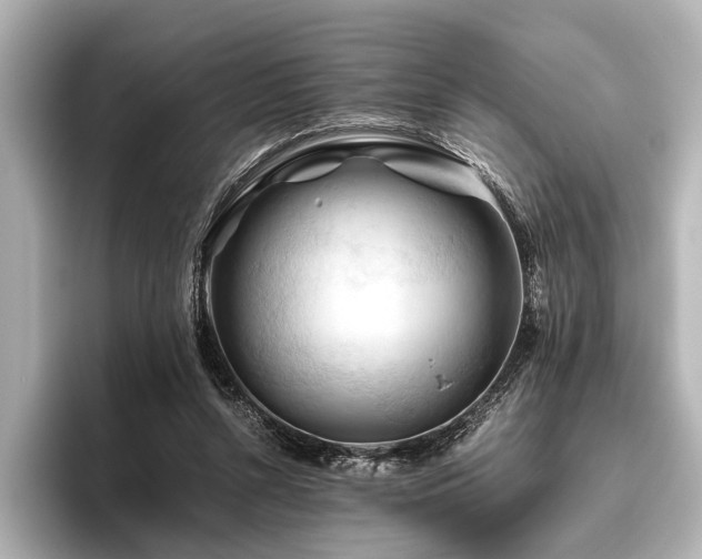 X0000096440352200801241403