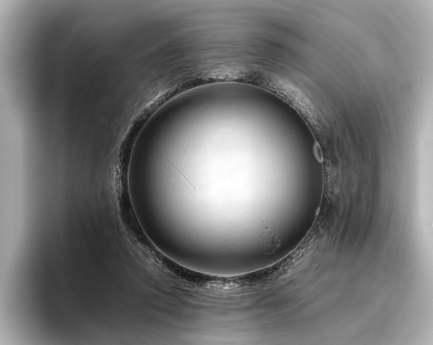 X0000096440354200801241403