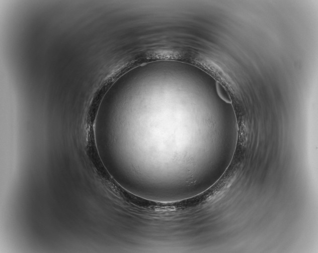 X0000096440355200801241403