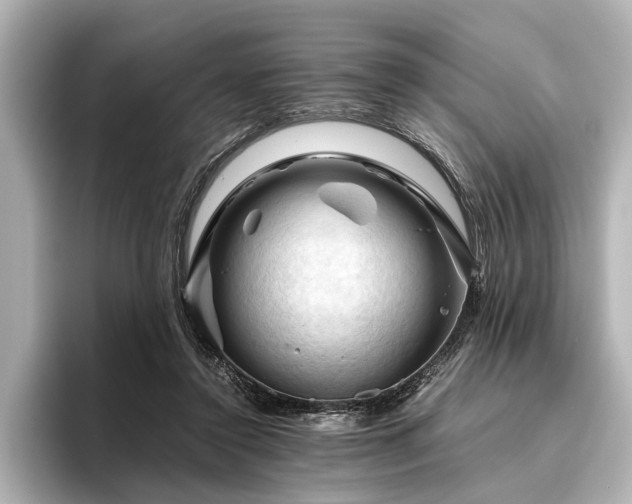 X0000096440356200801241403