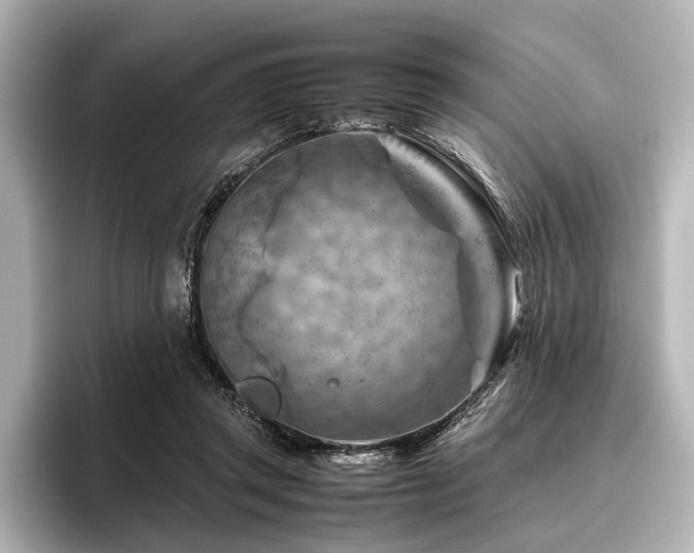 X0000096440357200801241403