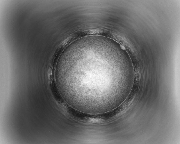 X0000096440360200801241403