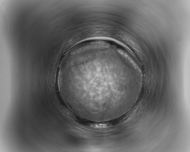 X0000096440361200801241403