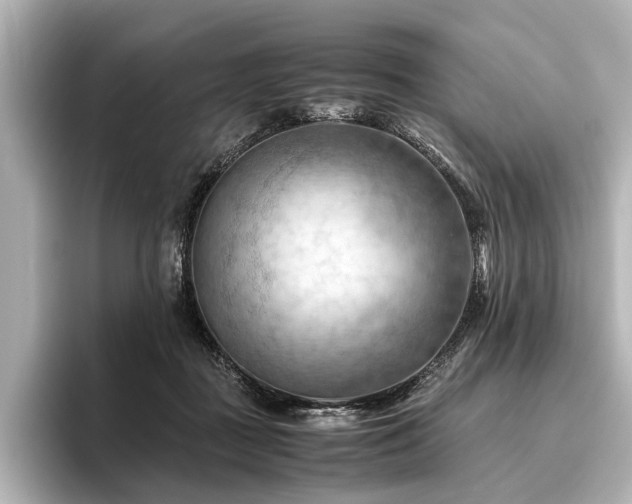 X0000096440363200801241403