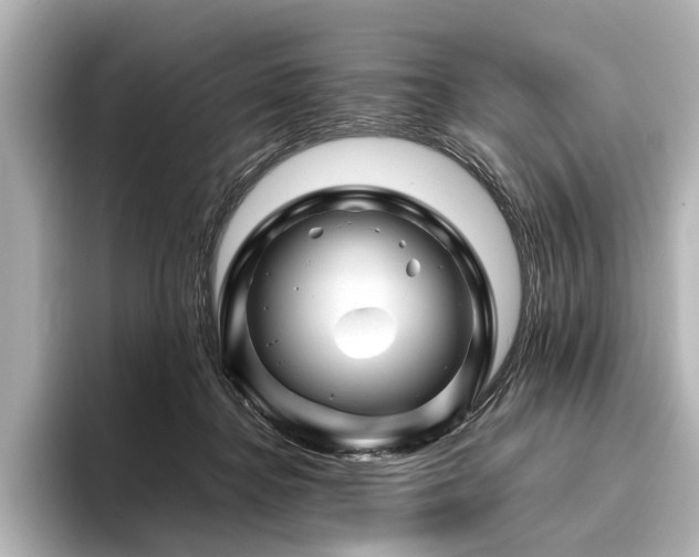 X0000096440364200801241403