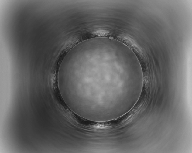 X0000096440365200801241403