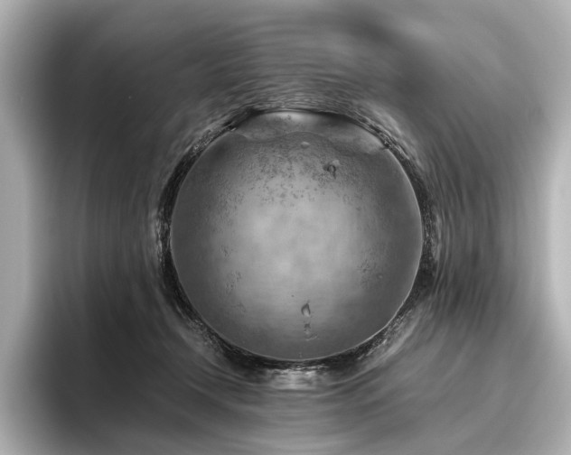 X0000096440366200801241403