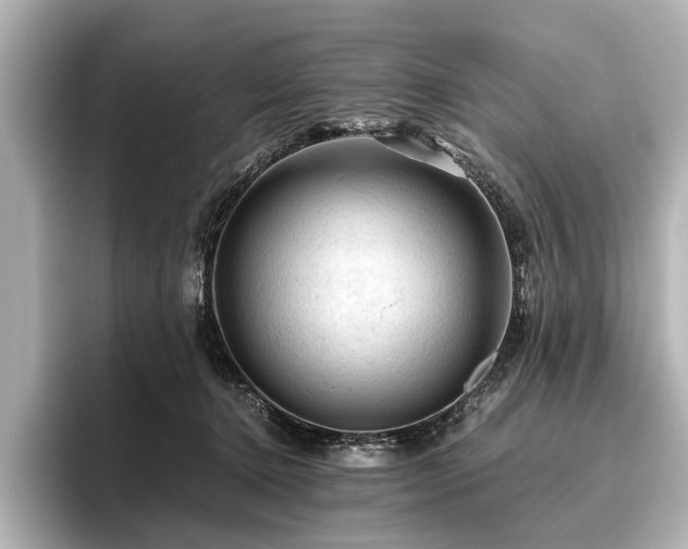 X0000096440368200801241403