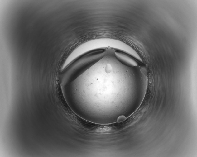 X0000096440369200801241403