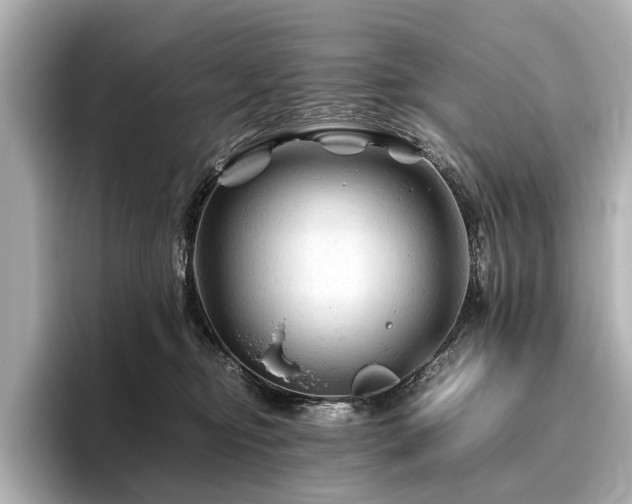 X0000096440374200801241403