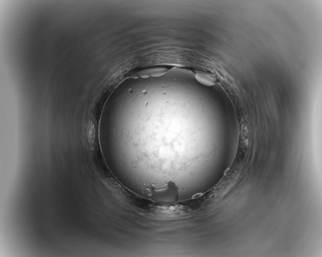 X0000096440375200801241403