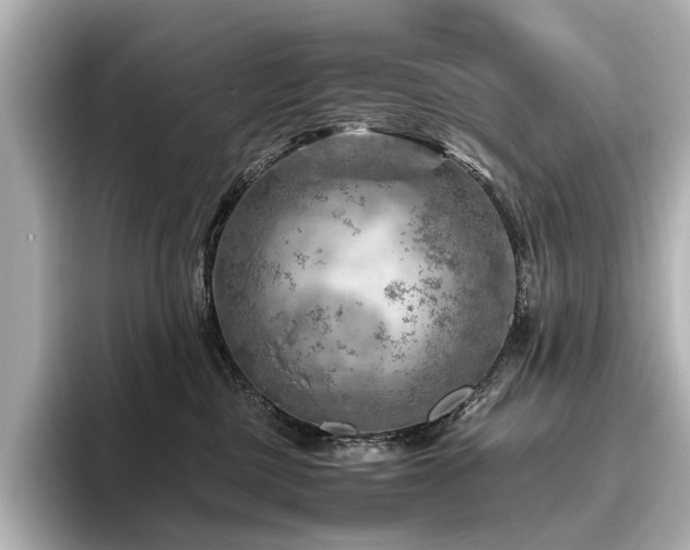 X0000096440377200801241403