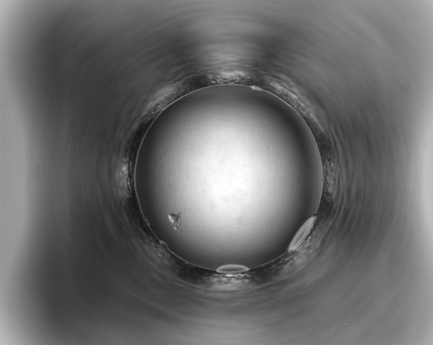 X0000096440378200801241403