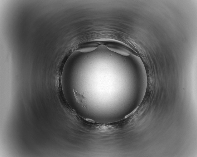 X0000096440379200801241403