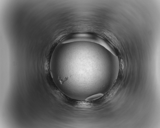 X0000096440380200801241403