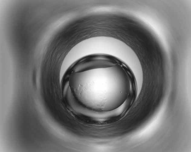 X0000096440382200801241403