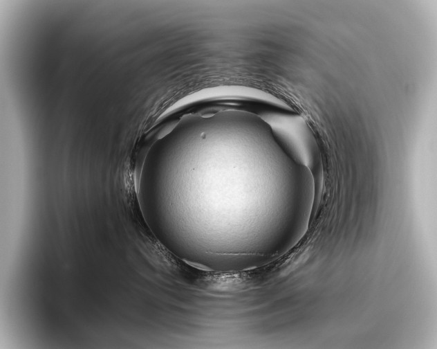 X0000096440384200801241403