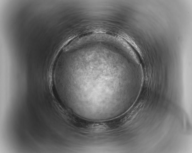 X0000096440386200801241403