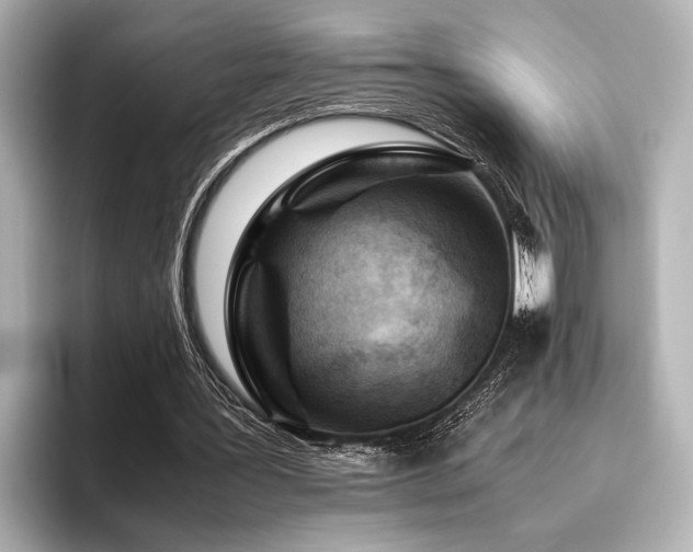 X0000096440387200801241403