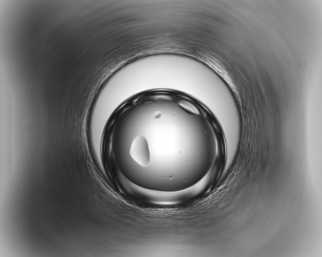 X0000096440389200801241403