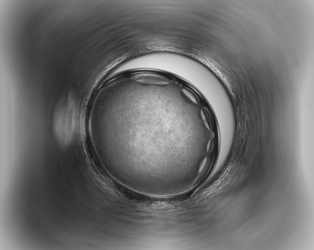 X0000096440390200801241403