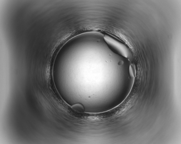 X0000096440394200801241403