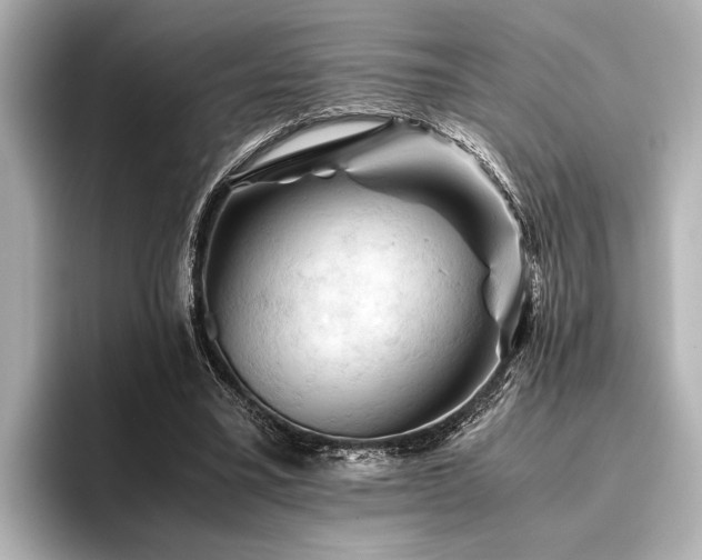 X0000096440395200801241403