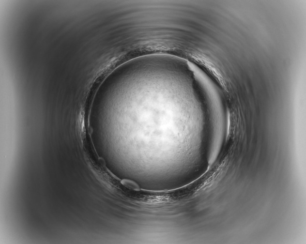 X0000096440398200801241403