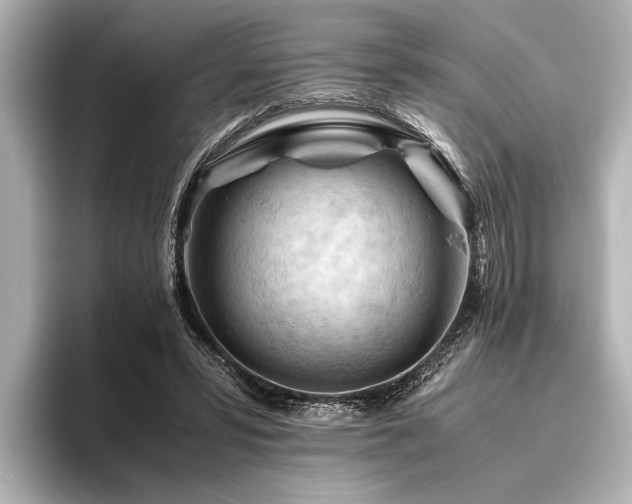 X0000096440399200801241403