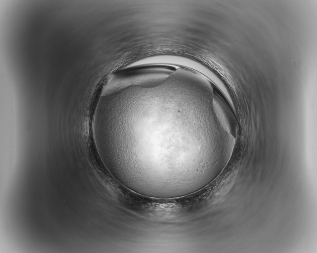 X0000096440401200801241403