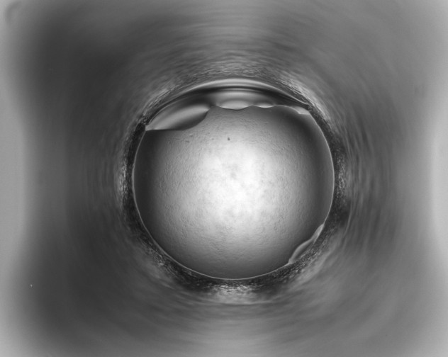 X0000096440403200801241403
