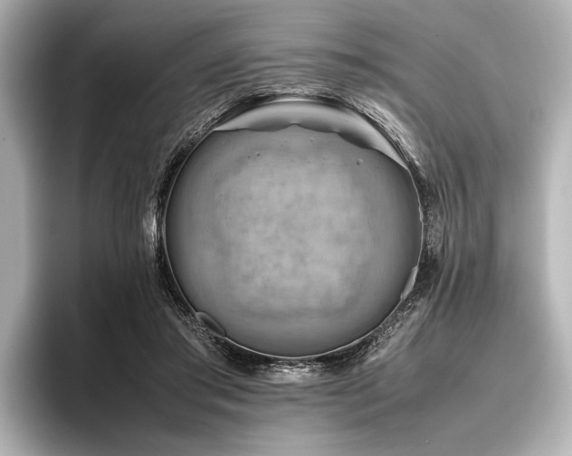 X0000096440405200801241402
