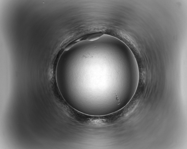 X0000096440407200801241402