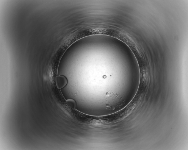 X0000096440408200801241402
