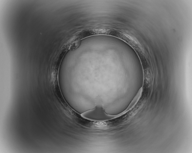X0000096440409200801241402