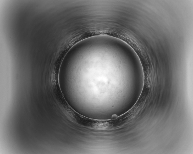 X0000096440410200801241402