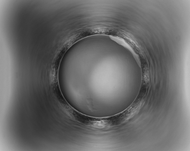X0000096440411200801241402