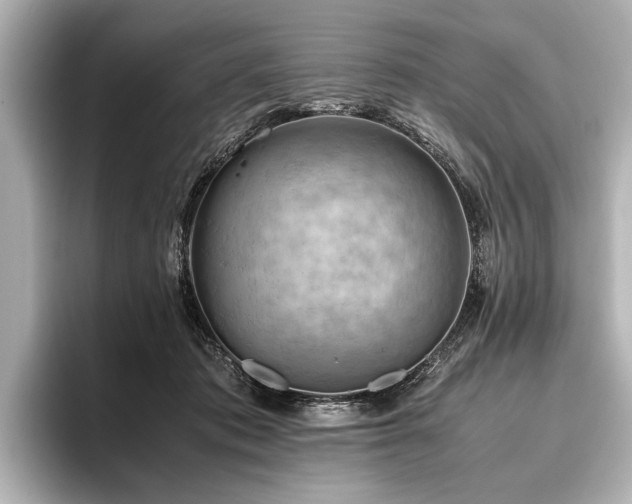 X0000096440413200801241402