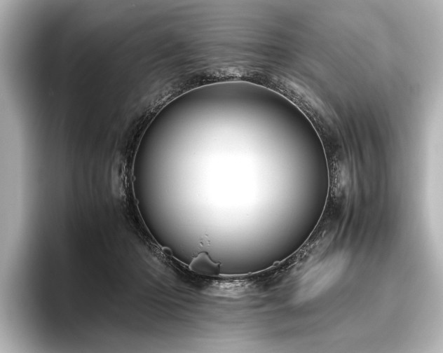 X0000096440414200801241402